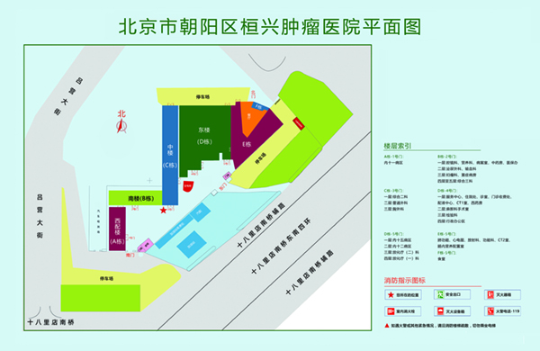 喷b视频北京市朝阳区桓兴肿瘤医院平面图